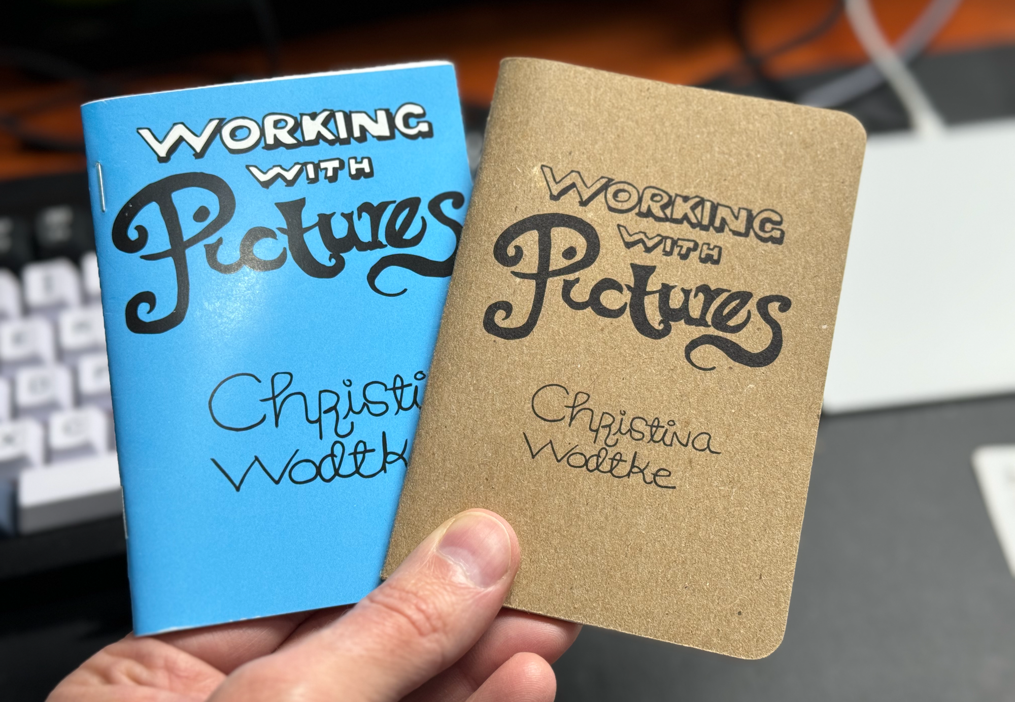 Hand holding two pocket sized books with the title 'Working with Pictures"