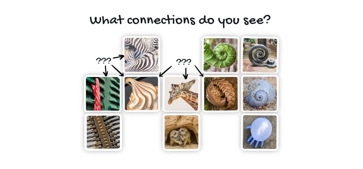 Image of assorted OuiSi cards with the question: "What connections do you see?" Recognizable images look like close ups of things like: A giraffe, a shell, zebras, meercats, and more. A spiral pattern is common to several images.