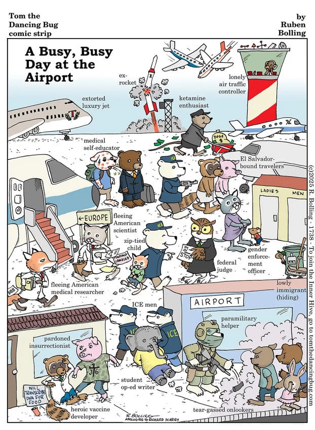 cartoon showing various activity at an airport, including an extorted luxury jet, an exploding X rocket, a ketamine enthusiast wheeling a barrow of money to his plane, many ICE officers – some taking people to an El Salvador plane, another with a zip-tied child being blocked by a federal judge – scientists boarding a plane to Europe, a medical self-educator covered with pox, and more. All the people are represented by various animals. The story is made in the style of a Richard Scarry children's book.