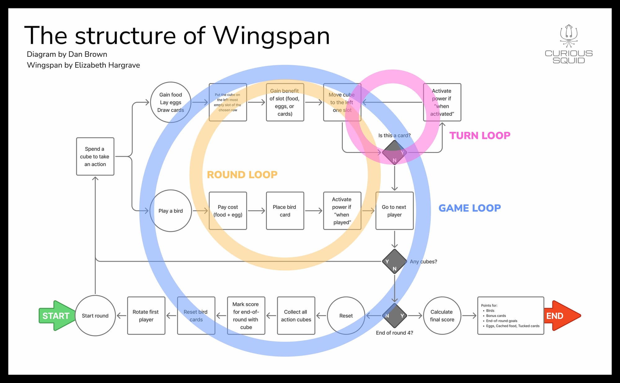 A flowchart diagram titled 'The structure of Wingspan' by Dan Brown, showing the game's mechanics through three nested loops: a pink Turn Loop (outer), an orange Round Loop (middle), and a blue Game Loop (inner). The diagram flows from a green START button on the left to a red END button on the right, with various action boxes, decision diamonds, and circular nodes connected by arrows showing the game's progression through player actions, resource management, and scoring phases.