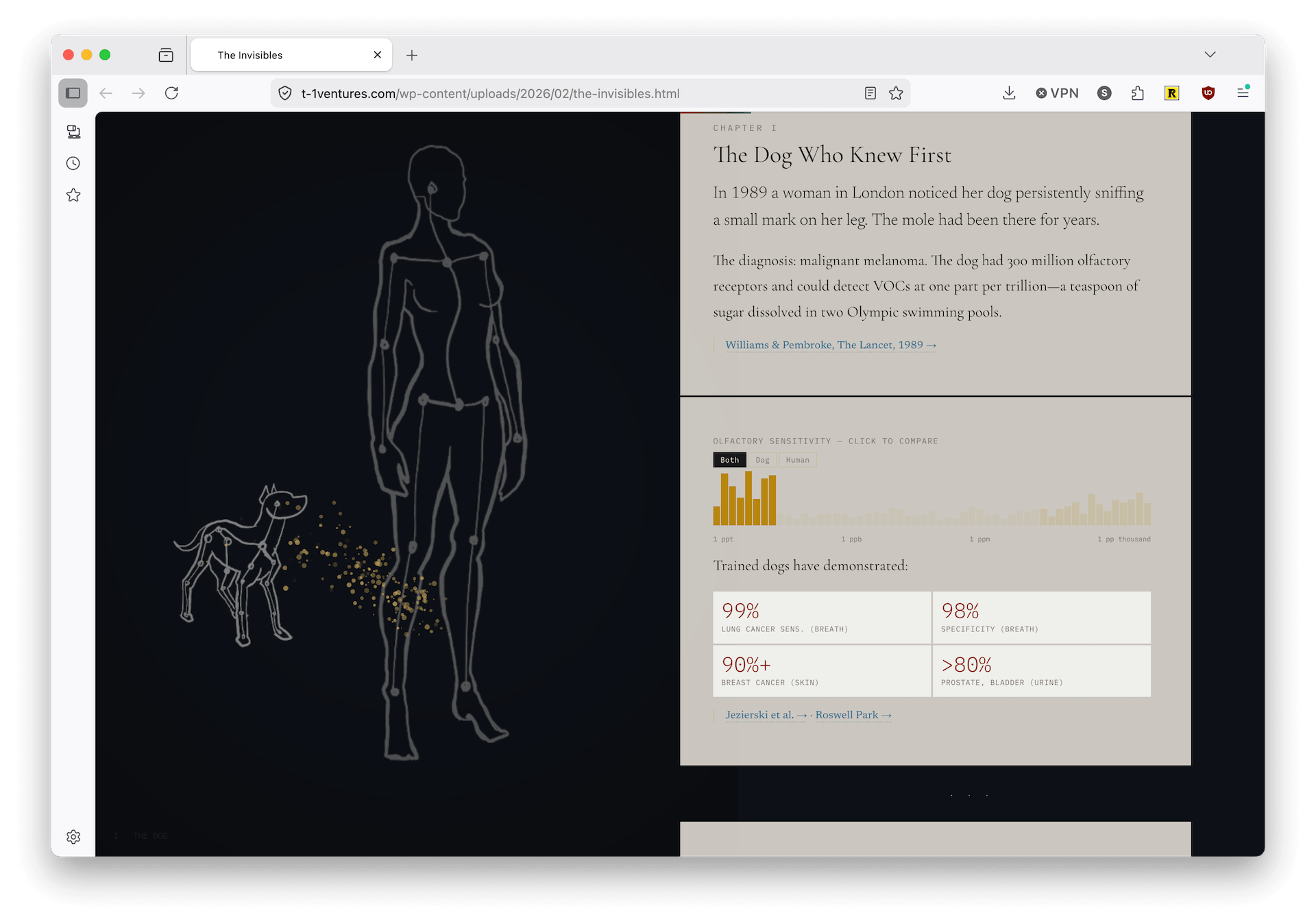 Browser window showing "The Invisibles" interactive piece, Chapter I: "The Dog Who Knew First." A line drawing of a standing human figure beside a dog, with golden particles drifting between them to suggest scent. The text recounts a 1989 case of a dog detecting melanoma, alongside a dog-vs-human olfactory-sensitivity chart and stat cards (e.g., 99% lung-cancer sensitivity, 98% specificity).